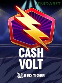 Cash Volt icon